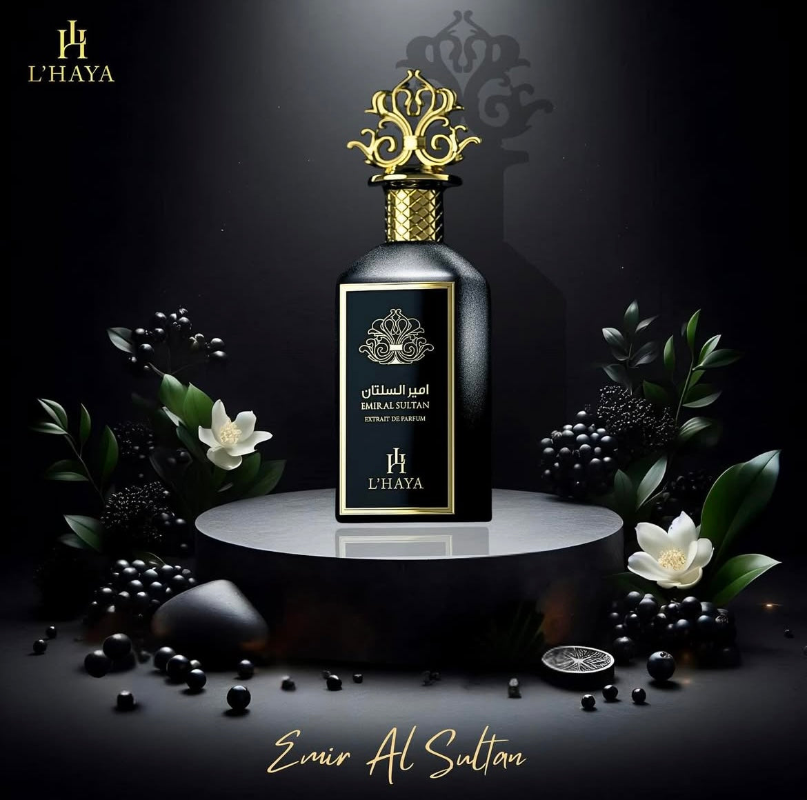 L'Haya-Emir al Sultan